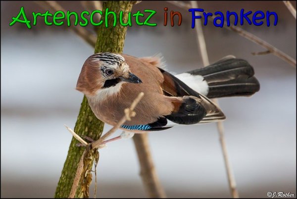 Copyright AiS Johannes Rother Bild zum Eintrag (63435-160)