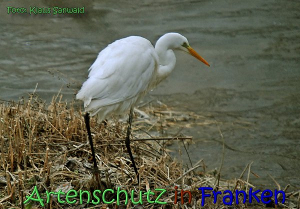 Copyright AiS Klaus Sanwald Bild zum Eintrag (63723-160)