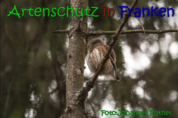 Copyright AiS Johannes Rother Bild zum Eintrag (63841-160)