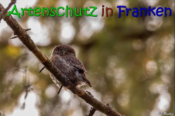 Copyright AiS Johannes Rother Bild zum Eintrag (63848-160)