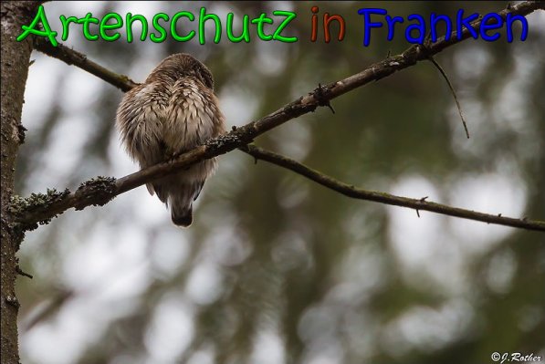 Copyright AiS Johannes Rother Bild zum Eintrag (63849-160)