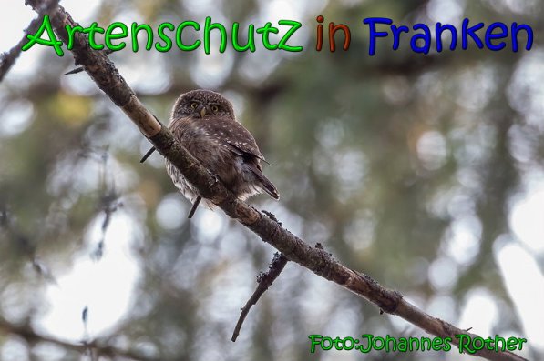 Copyright AiS Johannes Rother Bild zum Eintrag (63851-160)