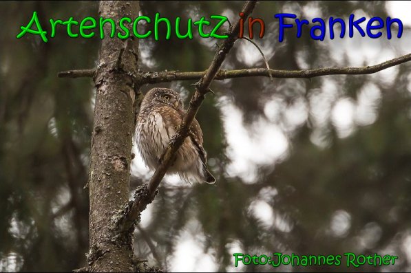 Copyright AiS Johannes Rother Bild zum Eintrag (63852-160)