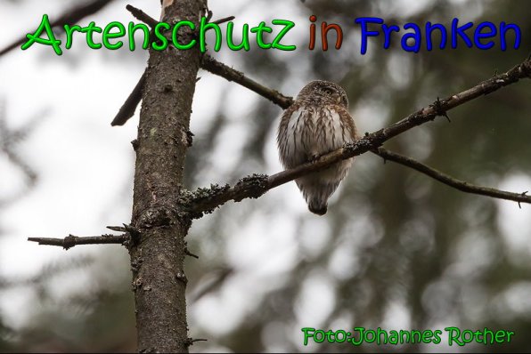 Copyright AiS Johannes Rother Bild zum Eintrag (63853-160)
