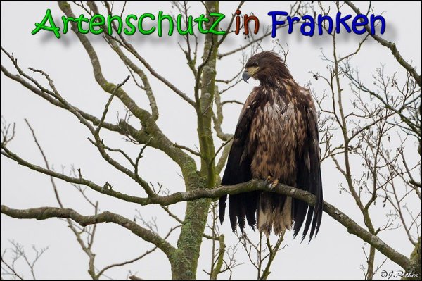 Copyright AiS Bild zum Eintrag (63866-160)