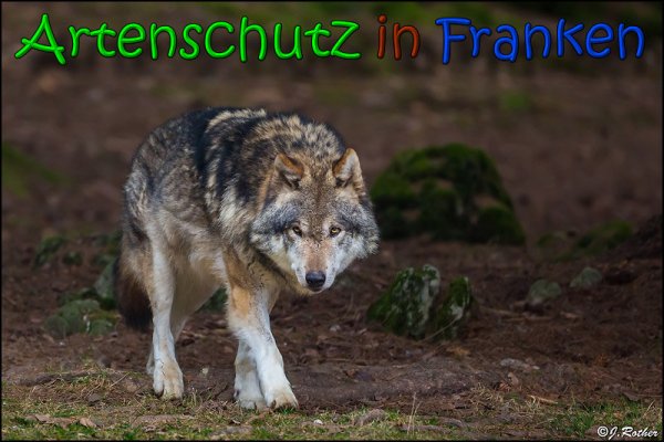 Copyright AiS Johannes Rother Bild zum Eintrag (63878-160)