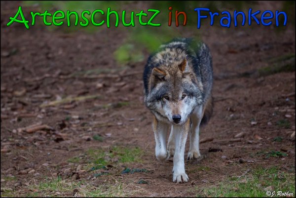 Copyright AiS Johannes Rother Bild zum Eintrag (63880-160)