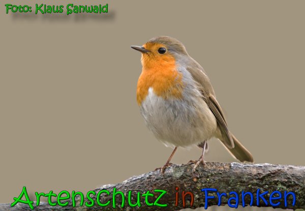 Copyright AiS Klaus Sanwald Bild zum Eintrag (63887-160)