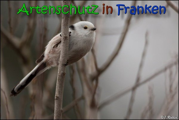 Copyright AiS Johannes Rother Bild zum Eintrag (63897-160)