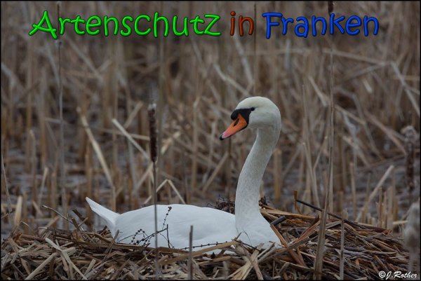 Copyright AiS Johannes Rother Bild zum Eintrag (63899-160)