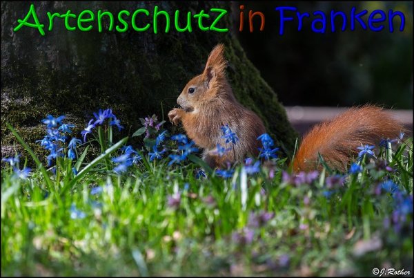 Copyright AiS Johannes Rother Bild zum Eintrag (64167-160)