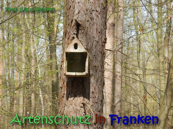 Copyright AiS Klaus Weidner Bild zum Eintrag (64381-160)