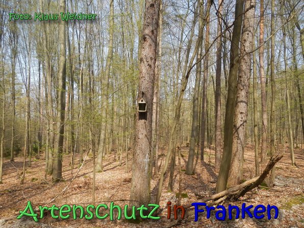 Copyright AiS Klaus Weidner Bild zum Eintrag (64382-160)