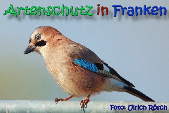 Copyright AiS Ulrich Rösch Bild zum Eintrag (64418-160)