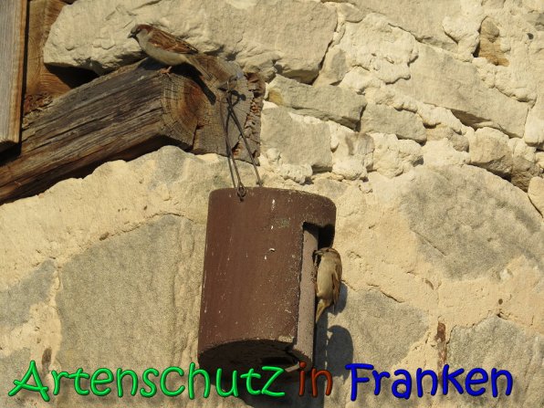 Copyright AiS Saalmann Bild zum Eintrag (64920-160)