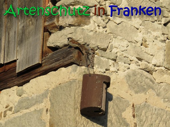 Copyright AiS Saalmann Bild zum Eintrag (64921-160)