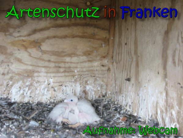 Copyright AiS - Webcam Bild zum Eintrag (65472-160)