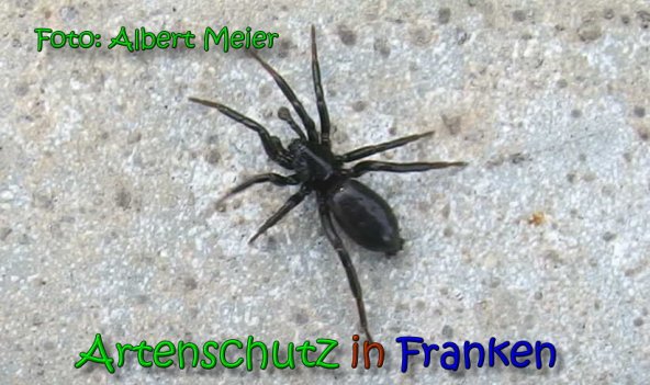 Bild zum Eintrag (65523-160)