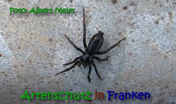 Bild zum Eintrag (65524-160)