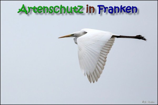 Copyright AiS Johannes Rother Bild zum Eintrag (65720-160)