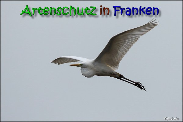 Copyright AiS Johannes Rother Bild zum Eintrag (65721-160)
