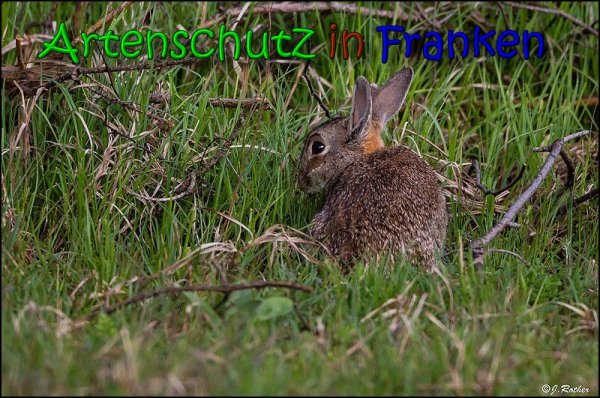 Copyright AiS Johannes Rother Bild zum Eintrag (66057-160)
