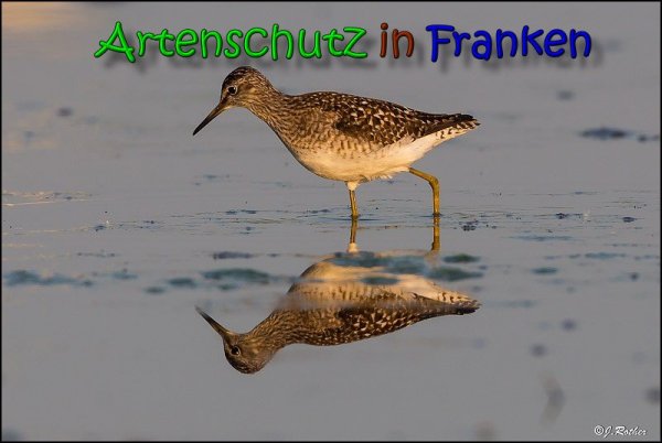 Copyright AiS Johannes Rother Bild zum Eintrag (66147-160)