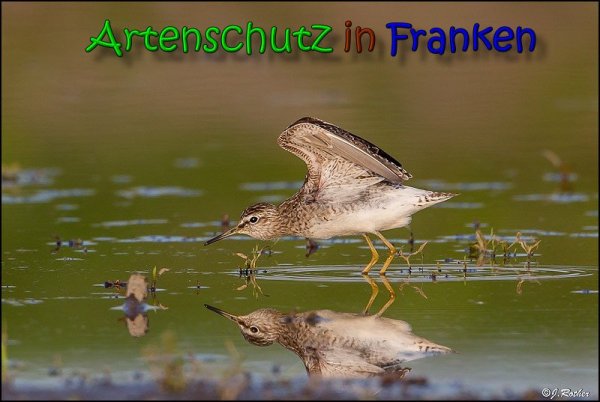 Copyright AiS Johannes Rother Bild zum Eintrag (66148-160)