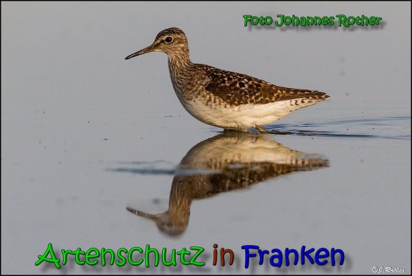 Copyright AiS Johannes Rother Bild zum Eintrag (66149-160)