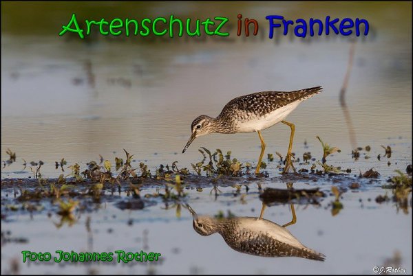 Copyright AiS Johannes Rother Bild zum Eintrag (66150-160)