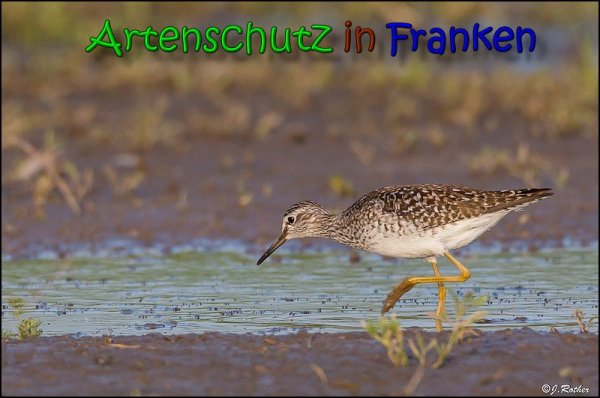 Copyright AiS Johannes Rother Bild zum Eintrag (66151-160)