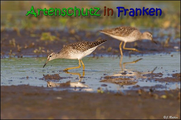 Copyright AiS Johannes Rother Bild zum Eintrag (66152-160)