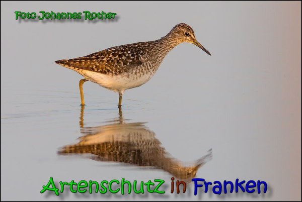 Copyright AiS Johannes Rother Bild zum Eintrag (66156-160)