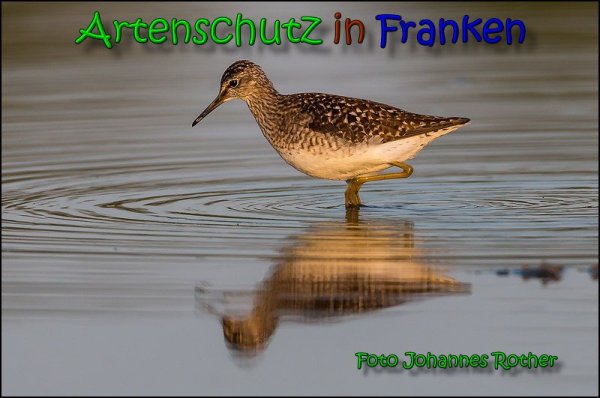 Copyright AiS Johannes Rother Bild zum Eintrag (66158-160)