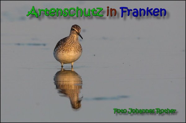 Copyright AiS Johannes Rother Bild zum Eintrag (66163-160)