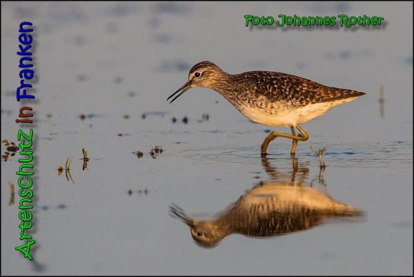 Copyright AiS Johannes Rother Bild zum Eintrag (66164-160)