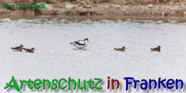 Copyright AiS Ulrich Rösch Bild zum Eintrag (66180-160)