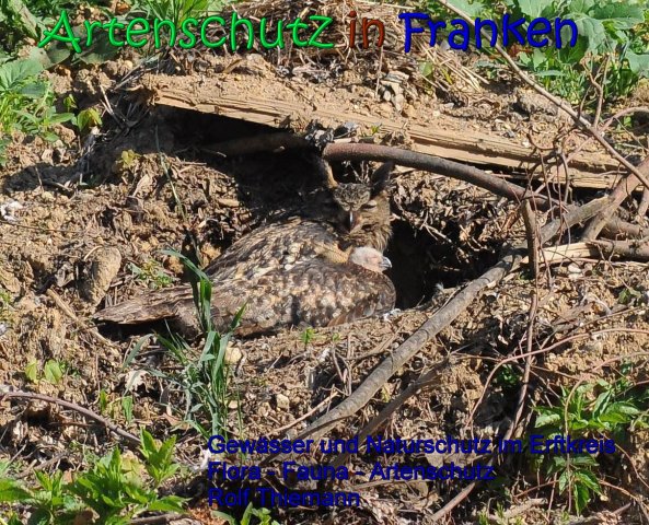 Copyright AiS Rolf Thiemann Bild zum Eintrag (66400-160)