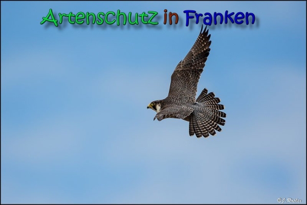 Copyright AiS Johannes Rother Bild zum Eintrag (66415-160)