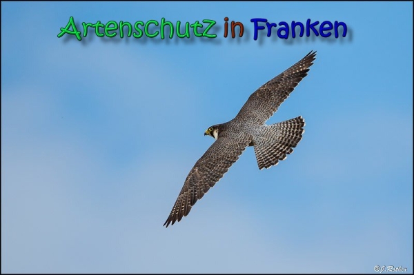 Copyright AiS Johannes Rother Bild zum Eintrag (66416-160)