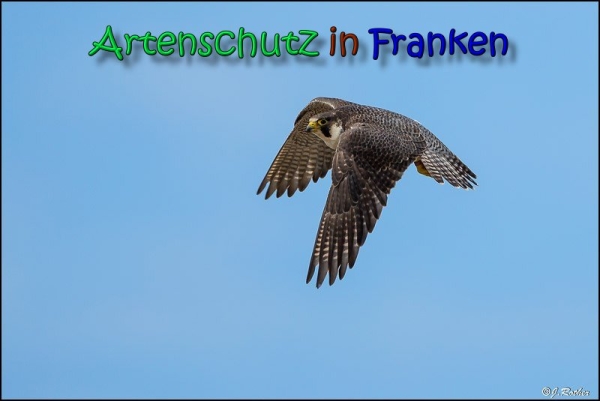 Copyright AiS Johannes Rother Bild zum Eintrag (66417-160)