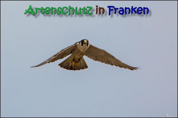 Copyright AiS Johannes Rother Bild zum Eintrag (66418-160)