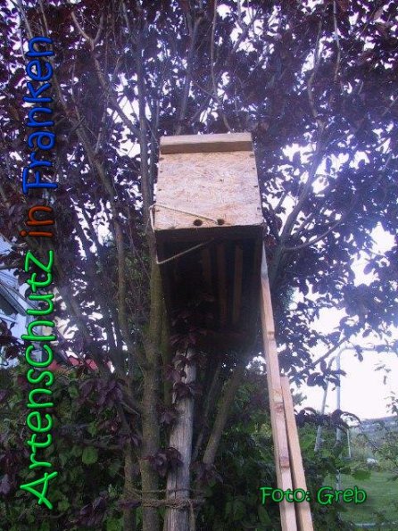 Copyright AiS Greb Bild zum Eintrag (66539-160)