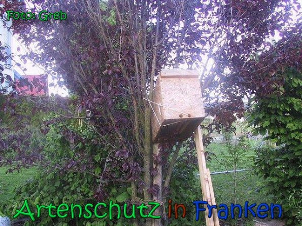 Copyright AiS Greb Bild zum Eintrag (66541-160)