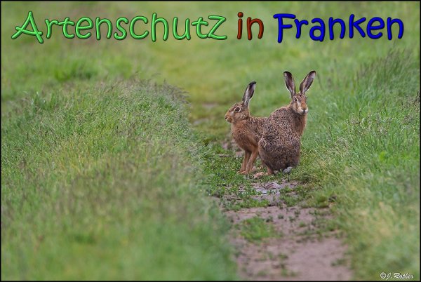 Copyright AiS Johannes Rother Bild zum Eintrag (66718-160)