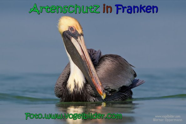 Copyright AiS Werner Oppermann Bild zum Eintrag (66878-160)