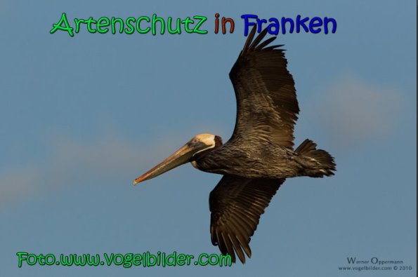 Copyright AiS Werner Oppermann Bild zum Eintrag (66879-160)