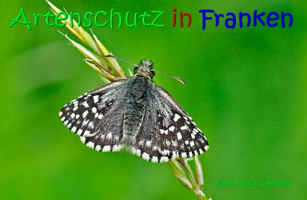 Copyright AiS Klaus Sanwald Bild zum Eintrag (67000-160)