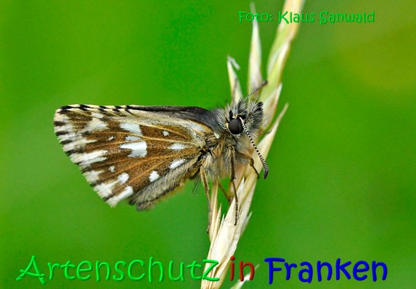 Copyright AiS Klaus Sanwald Bild zum Eintrag (67251-160)