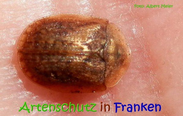 Bild zum Eintrag (67318-160)